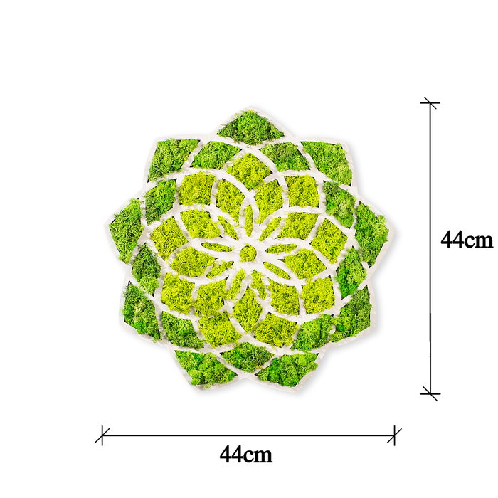 Wallity Daisy Accesorio decorativo de pared Verde y Blanco